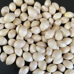 銀杏500gのサムネイル