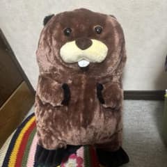 ビーバー ぬいぐるみ 中型のサムネイル