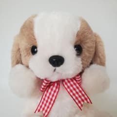 m74235080351_1.jpg?1758587803