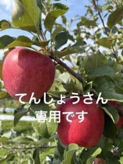 りんご詰め合わせ5キロのサムネイル