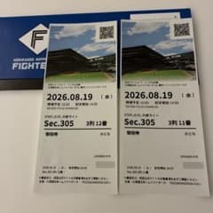 8月19日北海道日本ハムファイターズ 野球観戦チケット 2枚セット
