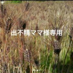 自然栽培　ダイシモチ麦　1kgのサムネイル
