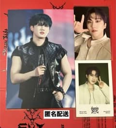 スキズ dominATE SEOUL FANS特典ポスカ 封入トレカ チャンビン - メルカリ