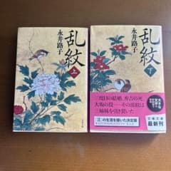 乱紋 上　下 2冊セットのサムネイル