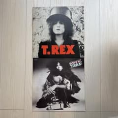 T.Rex LPレコード 3枚セット T.レックス LPレコード 2枚セットザ・スライダー / タンクス T.Rex