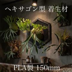 着生材 ビカクシダ コウモリラン PLA製 ブラック 2枚セット - メルカリ
