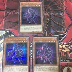 ヴァイオン シク3枚のサムネイル