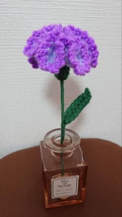 カーネーション　紫×薄紫のサムネイル