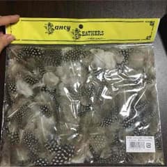 ホロホロ鳥の羽 フェザーのサムネイル