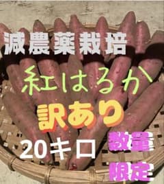 減農薬栽培 紅はるか 訳あり20キロ 農家直送のサムネイル