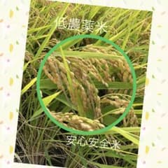 令和７年産　あきさかり　低農薬米 安心安全米　玄米10キロ 令和7年産あきさかり 玄米10キロ 低農薬 安心安全米 - メルカリ