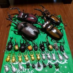 カブトムシフィギュアセット　３３匹のサムネイル