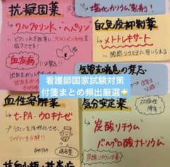【看護師国家試験】頻出まとめ付箋280枚　多すぎて覚えられない人に◎のサムネイル