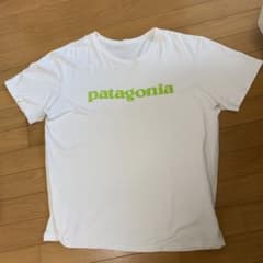 Patagonia緑ロゴ半袖Tのサムネイル