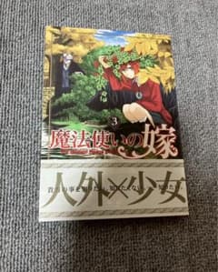 魔法使いの嫁 3巻 ヤマザキコレのサムネイル