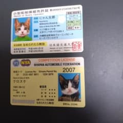 なめ猫 免許証 2枚セット - メルカリ