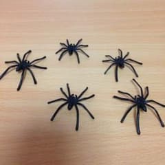 【ハロウィン】蜘蛛のおもちゃ10個超軽量のサムネイル