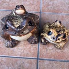 信楽焼　　かえるのサムネイル