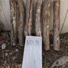 原木椎茸　栽培キッド　No.3 小６本のサムネイル