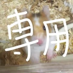 【週末限定お値引き中】小動物用  トンネル(パイプ)  +  オマケ付き！のサムネイル