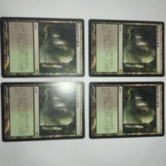 新緑の地下墓地/Verdant Catacombs[ZEN] 土地R 2枚セット 新緑の地下墓地/Verdant Catacombs》[ZEN] 土地R | 日本最大級 MTG通販