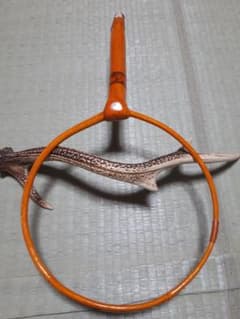 天然木 渓流 タモ枠 榧のサムネイル