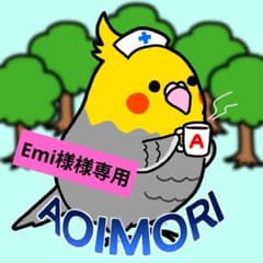Emi様 リクエスト 2点 まとめ商品 - メルカリ