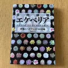 多肉植物 エケベリア 原種とハイブリッド1000種のサムネイル