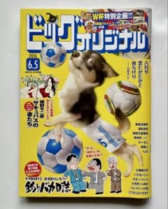 ビッグコミックオリジナル 2026年6月5日号のサムネイル