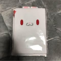 汎用うさぎの鏡のサムネイル