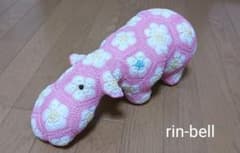 アフリカンフラワー　ガーリーピンクカバちゃんのサムネイル
