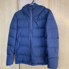 シームレスダウン　ユニクロのサムネイル