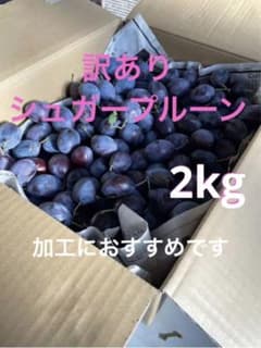 訳あり　シュガープルーン　2kgのサムネイル