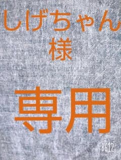 しげちゃん様専用 テスカ スキットルのサムネイル