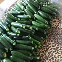 夏野菜無農薬ズッキーニ市場での値段が下がったので値下げ‼️のサムネイル