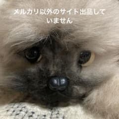 サンアロー フルーリスト 夢の回転木馬 テリア犬 ぬいぐるみ 2コセット