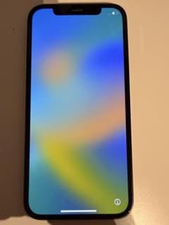 Apple iPhone 12 본체 블랙