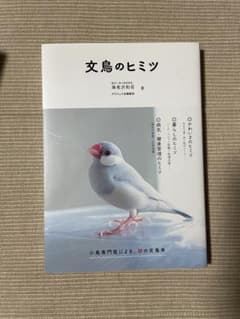 文鳥のヒミツ 海老原PRO著のサムネイル