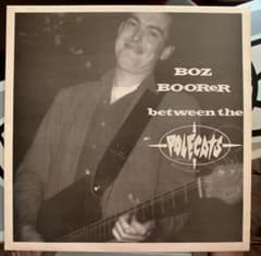 Boz Boorer Between The Polecats レコードのサムネイル