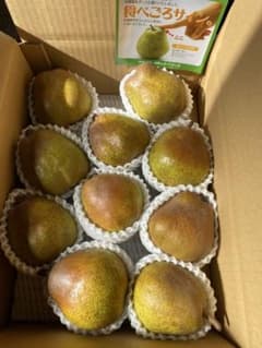 山形県産 洋梨ラフランス 日焼け果実3kgのサムネイル