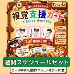 視覚支援カード 週間スケジュールセット 宝石カード　発達支援グッズのサムネイル