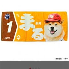 柴犬まる×楽天タオルのサムネイル