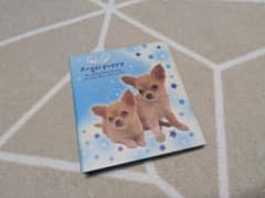 平成レトロ プロフィール帳 犬 チワワのサムネイル