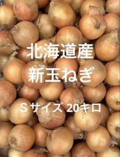 静岡県産　新玉ねぎ特大サイズ２０キロ 北海道産新玉ねぎSサイズ20キロ - メルカリ