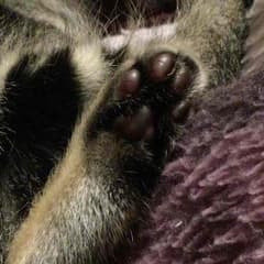 ★国丸様専用★のサムネイル