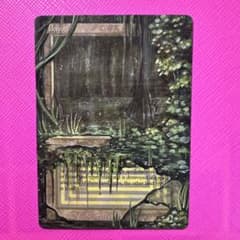 MTG】Bayou - メルカリ