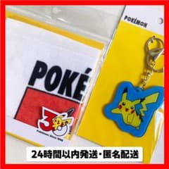 포켓몬 30주년 키홀더 피카츄 미니 타월 라이츄 스리코