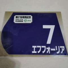 エフフォーリア 2022年有馬記念ミニゼッケン - メルカリ
