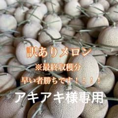 長崎県島原産 温室高級メロン(２玉)のサムネイル
