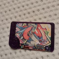 ポケモンフレンダ ボーマンダ カード 300のサムネイル